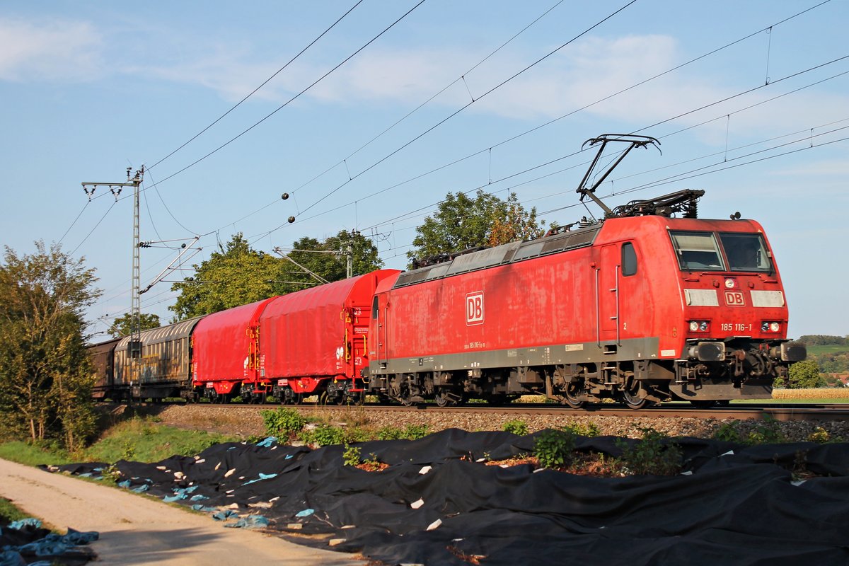 185 116-1 fuhr am Nachmittag des 12.09.2018 mit einem gemischten Güterzug (Mannheim Rbf - Smistamento) zwischen Hügelheim und Müllheim (Baden) über die Rheintalbahn durchs Markgräflerland in Richtung Basel.