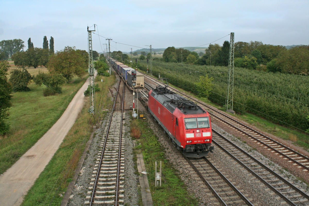 185 120-3 mit einem KLV-Zug gen Sden am Nachmittag des 28.09.13 im Bahnhofsbereich von Mllheim (Baden).
