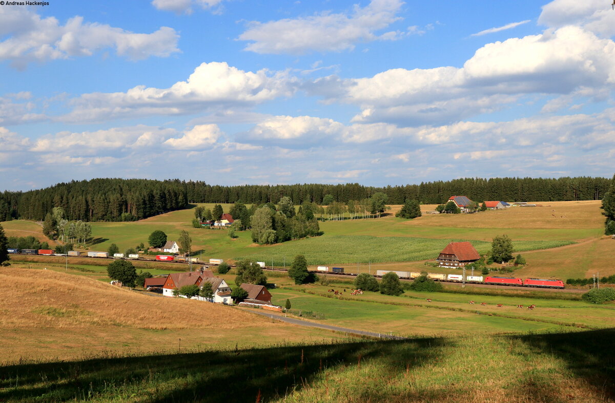 185 125-2 und 185 006-4 mit dem KT 50119 (Krefeld Uerdingen - Singen(Htw)) bei Stockburg 31.7.22