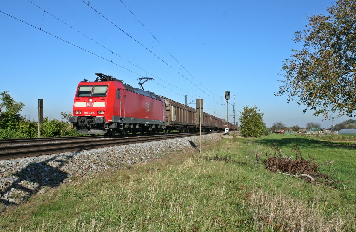 185 134-4 mit dem 45001 nach Basel Rbf/Weil am Rhein Gbf am Mittag des 31.10.13 n�rdlich von H�gelheim.