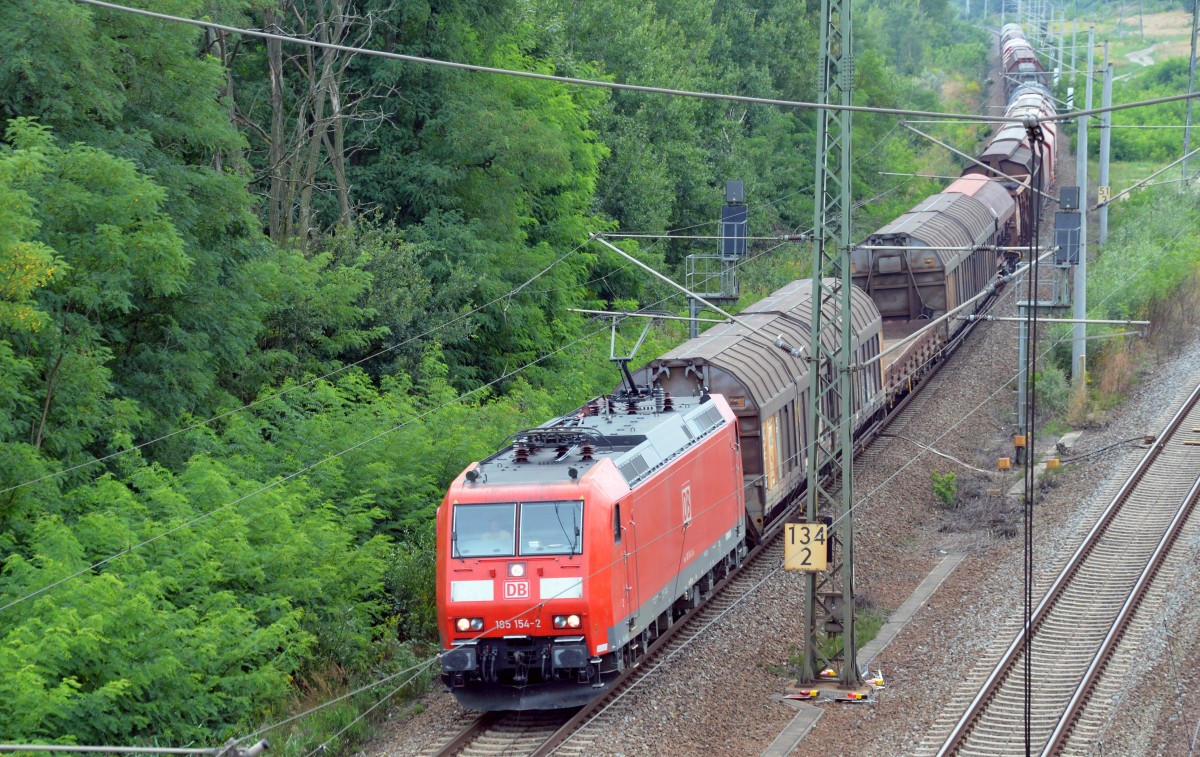 185 154 fuhr am 23.08.13 mit einem gemischten Gterzug aus Richtung Leipzig kommend durch Holzweiig Richtung Bitterfeld.