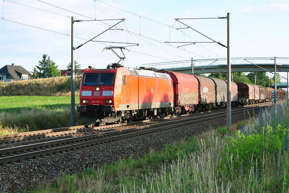 185 164-1 mit einem gemischten Güterzug in Zschortau, am 18.06.2016.