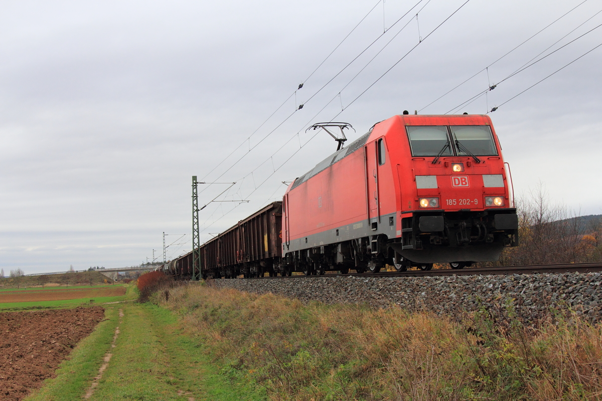 185 202-9 DB Schenker bei Lichtenfels am 10.11.2015.