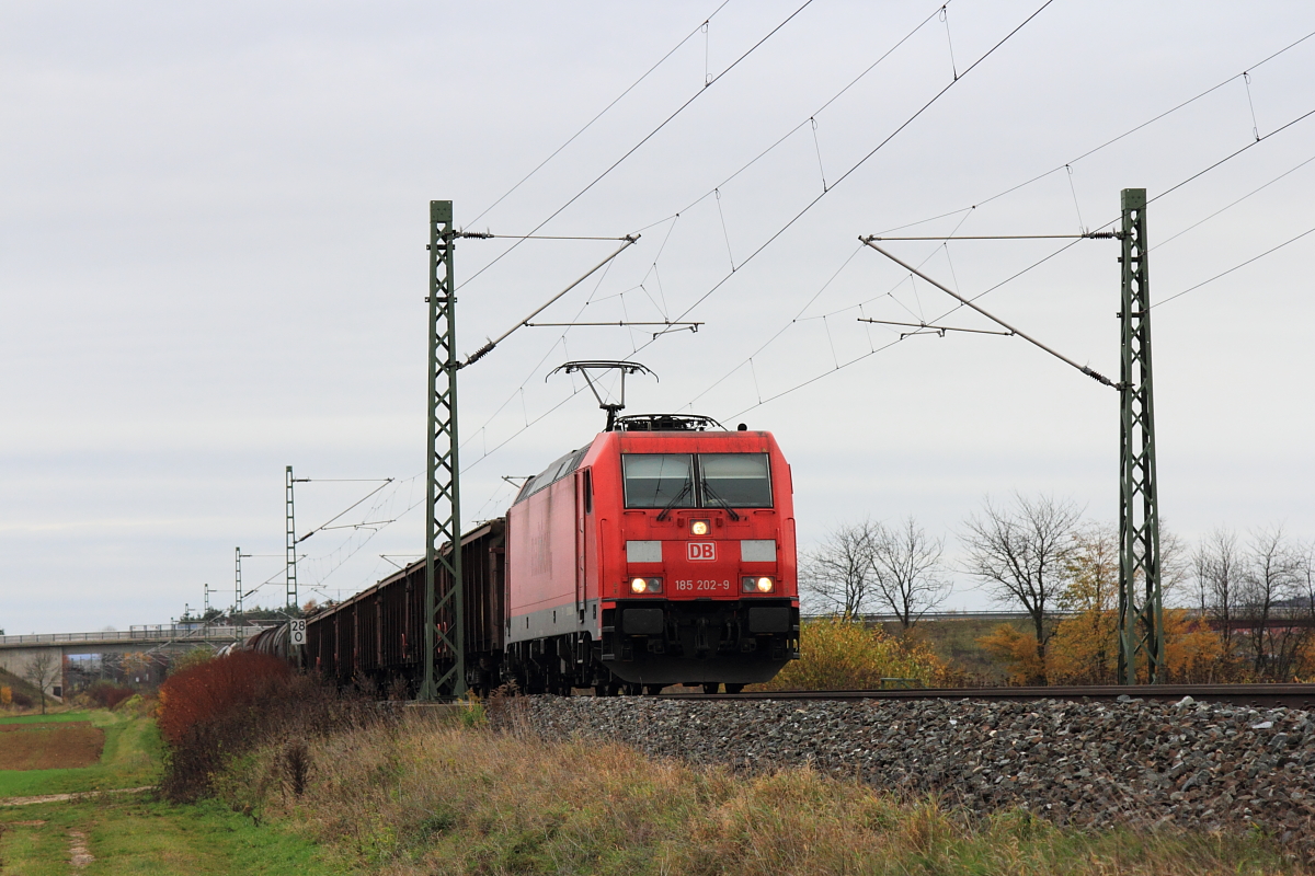 185 202-9 DB Schenker bei Lichtenfels am 10.11.2015.