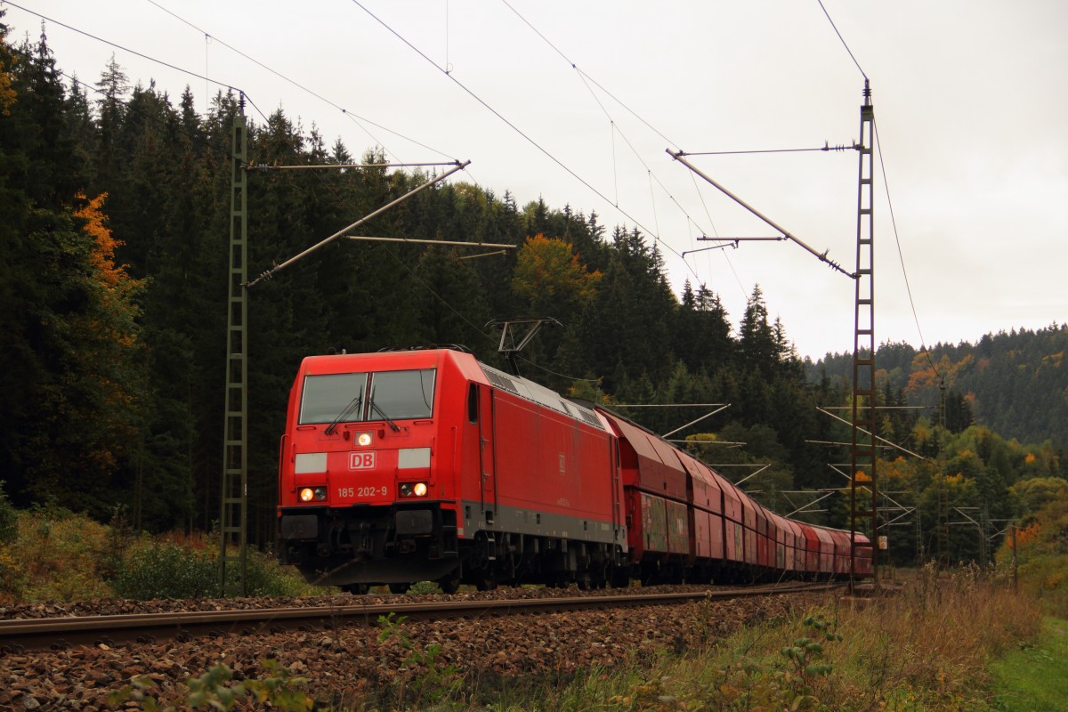 185 202-9 DB Schenker im Frankenwald bei Steinbach am 09.10.2015.