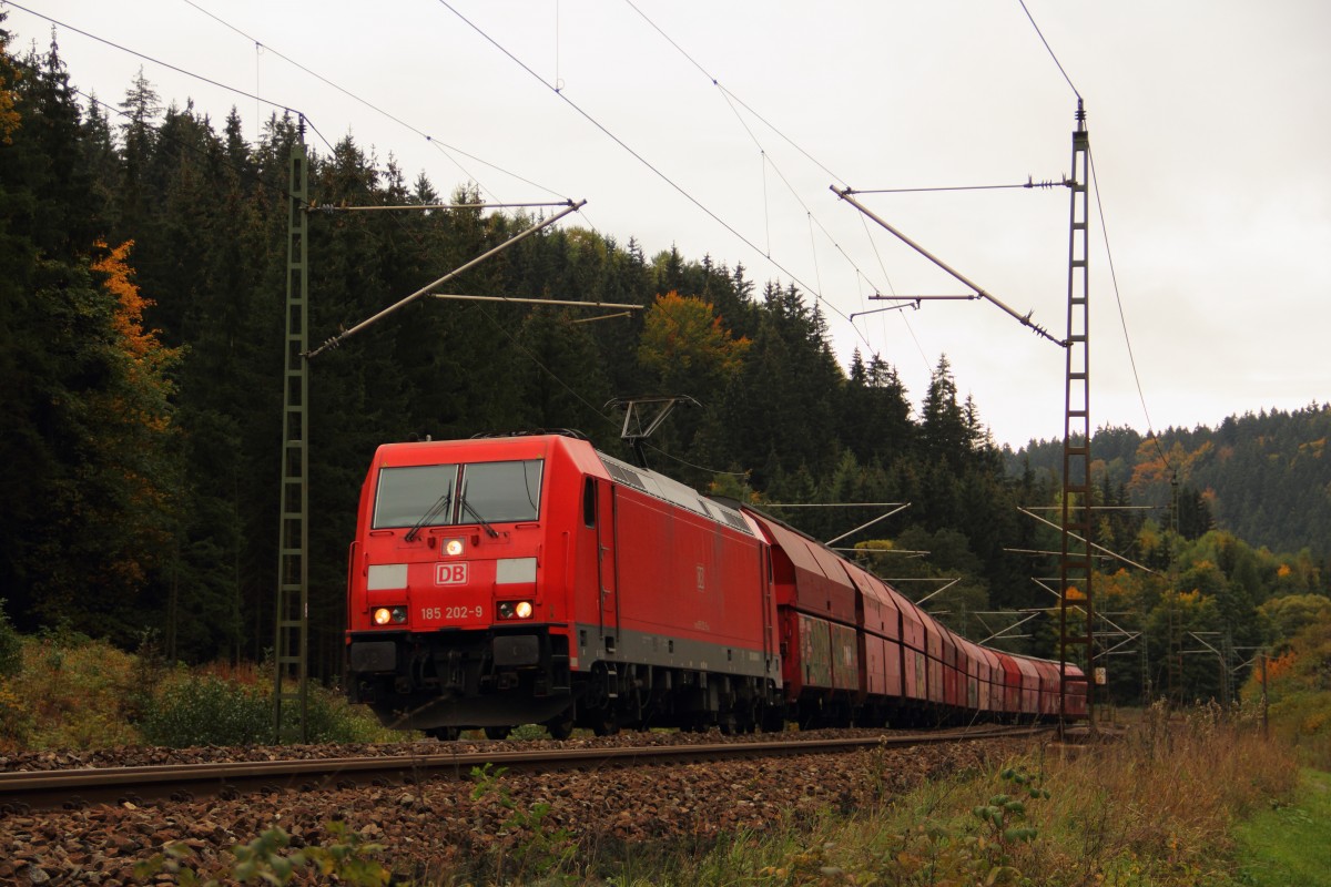 185 202-9 DB Schenker im Frankenwald bei Steinbach am 09.10.2015.