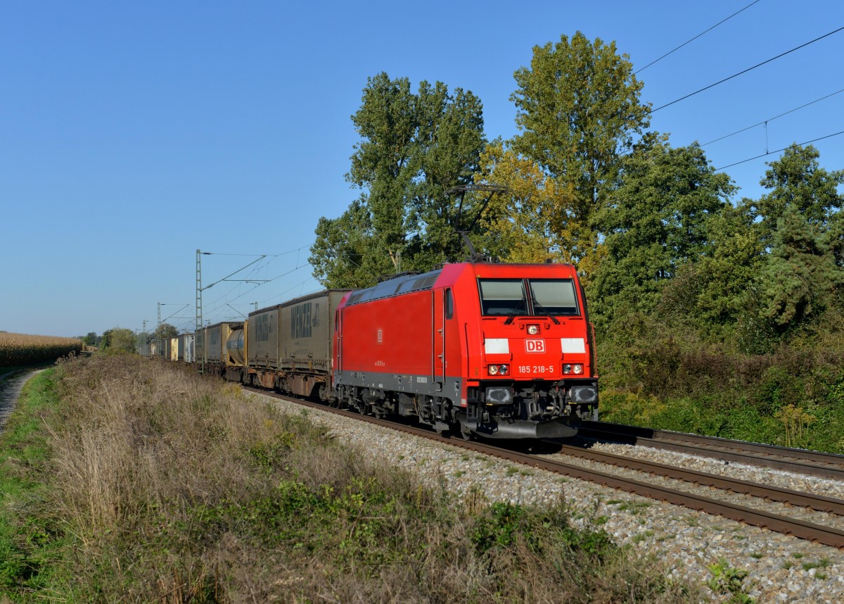 185 218 mit dem Wenzel-KLV am 03.10.2013 bei Langenisarhofen.