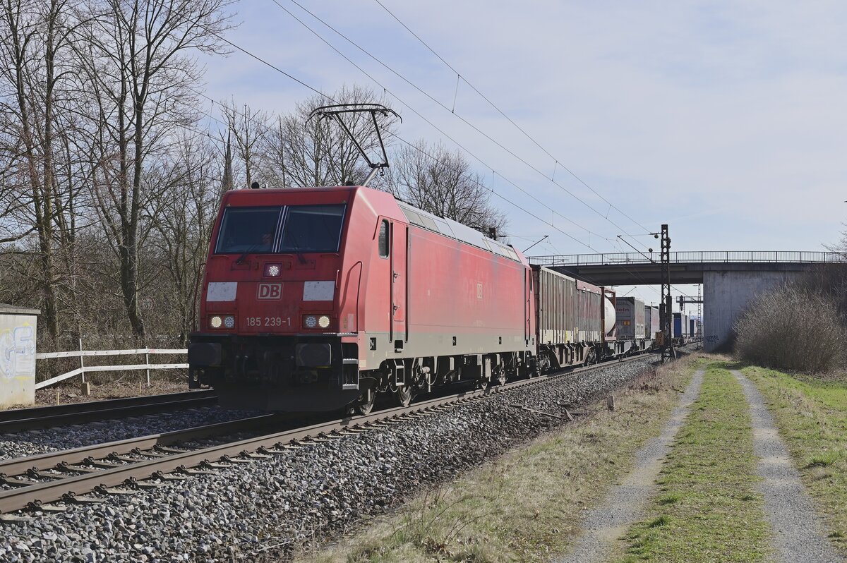 185 239-1 im Gegengleisbetrieb samt Klv am Haken in Thüngersheim gen Retzbach fahrend. 1.3.2022