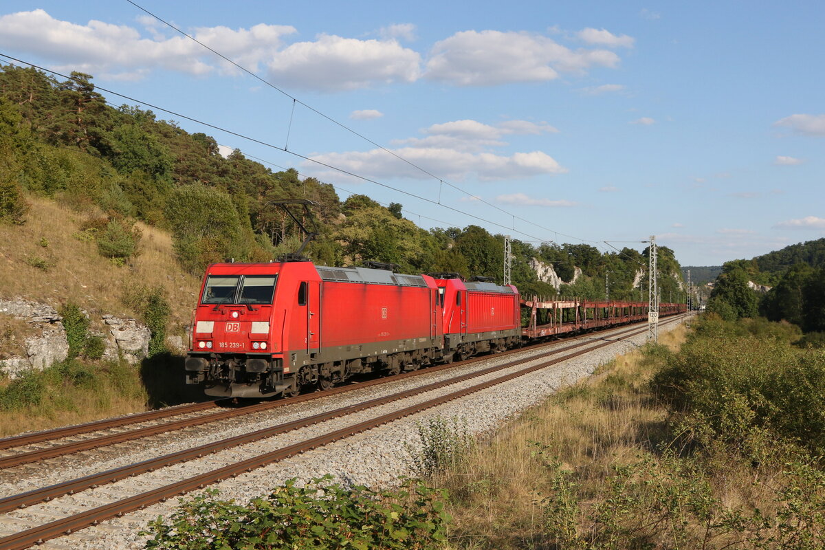 185 239 und 187 110 mit einem leeren Autozug aus Ingolstadt kommend am 9. August 2022 bei Hagenacker.