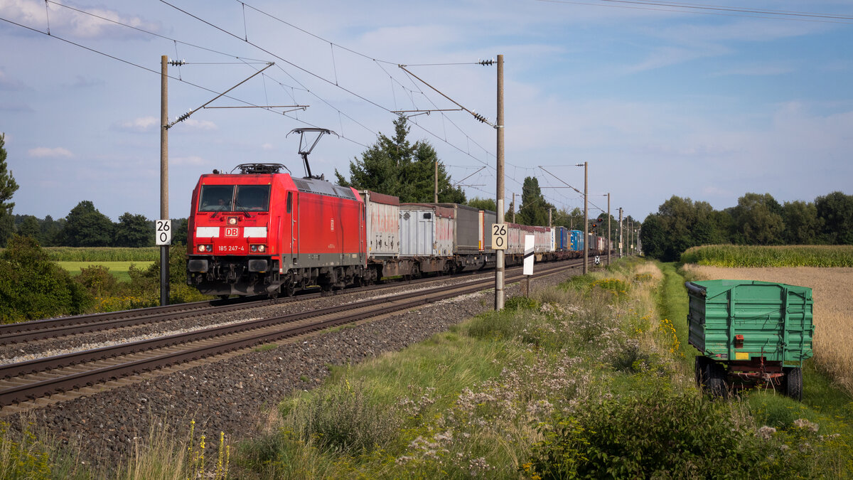 185 247-4 - Laubenzedel 12.08.21 
