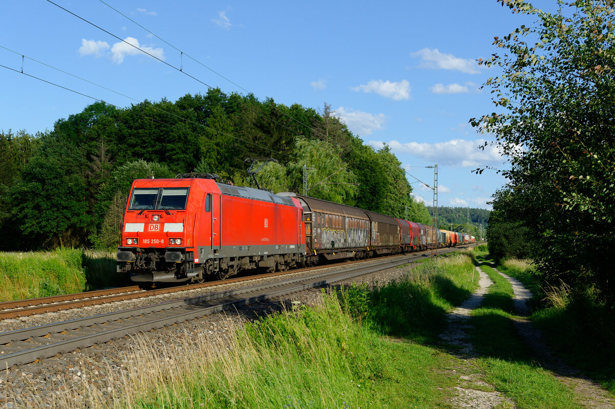 185 250 DB Cargo mit der Plattlinger Übergabe bei Postbauer-Heng Richtung Nürnberg Rbf, 09.07.2020