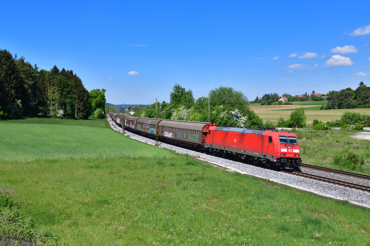 185 250 mit einem Güterzug am 19.05.2020 bei Sinngrün.