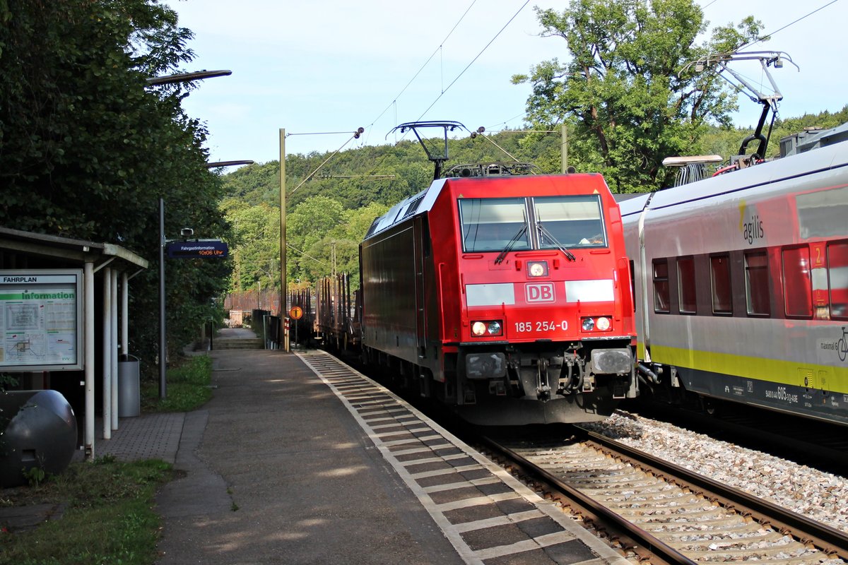 185 254-0 am Morgen des 27.08.2015 bei der Durchfahrt mit einem gemischten Güterzug durch den Haltepunkt von Etterzhausen in Richtung Süden.