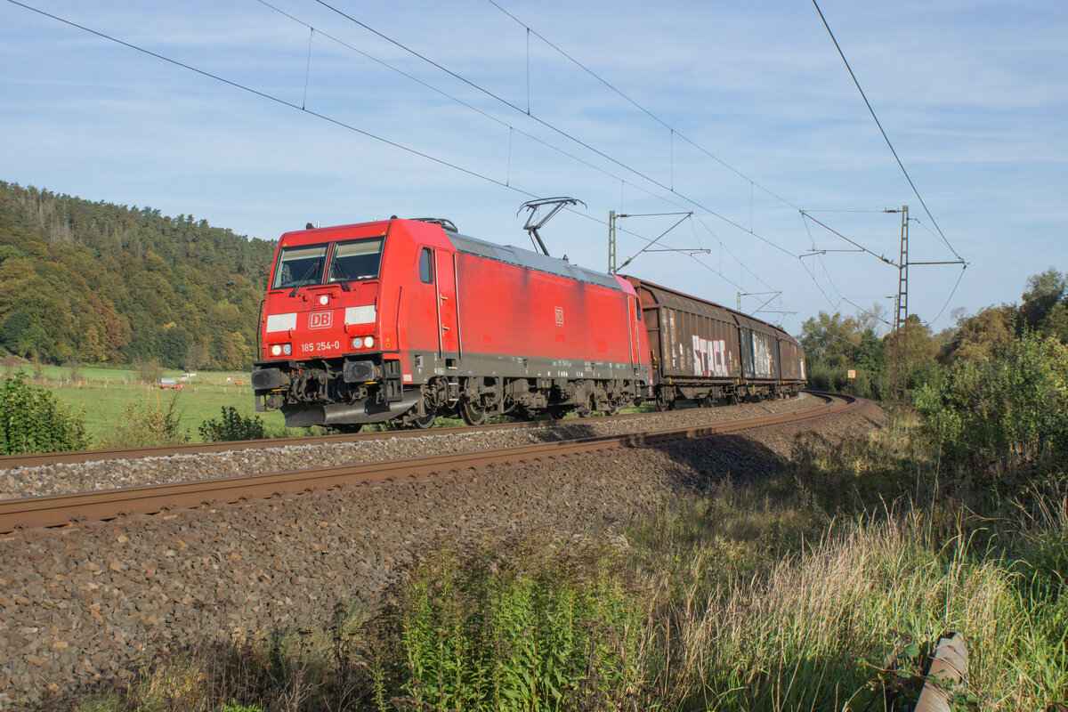 185 254-0 mit einem Güterzug am 11.10.2023 bei Hermannspiegel.