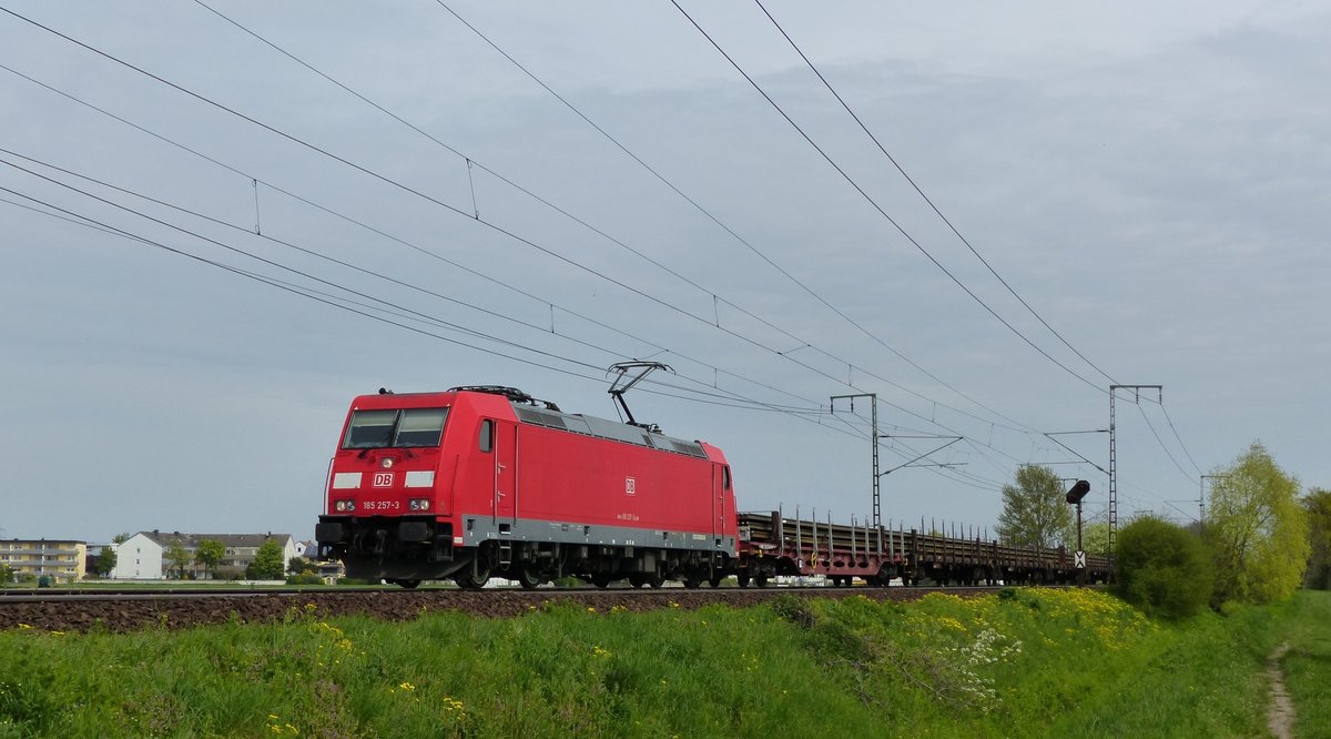 185 257 zieht einen Güterzug auf der Rhein-Main Bahn zwischen Weiterstadt und Klein-Gerau gen Westen. Aufgenommen am 22.4.2016 15:01