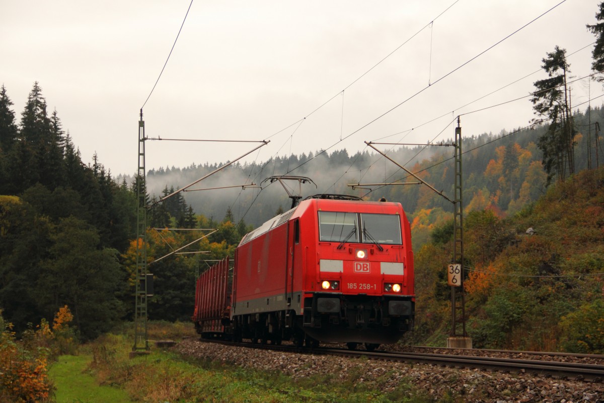 185 258-1 DB Schenker auf der Frankenwaldrampe bei Förtschendorf am 09.10.2015.