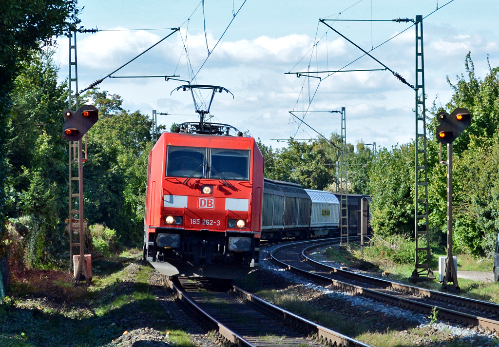 185 262-3 gem. Güterzug durch Bonn-Beuel - 28.09.2015