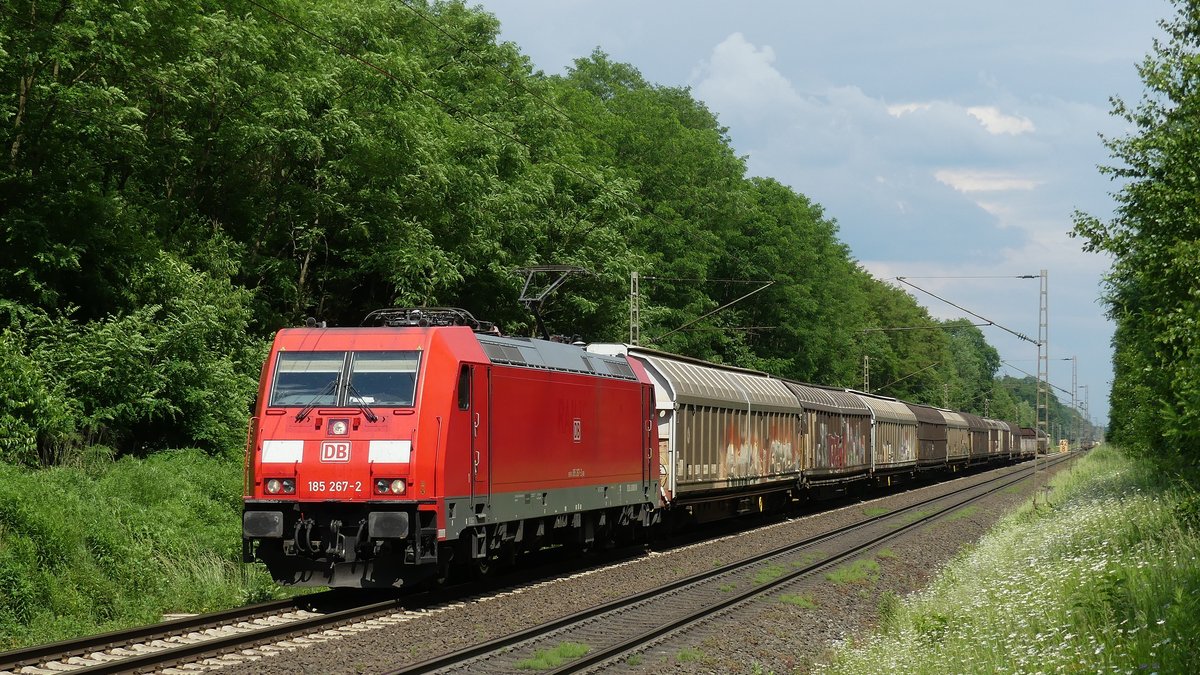 185 267 zieht einen Güterzug über die Rhein-Main Bahn gen Westen und konnte hier zwischen Messel und Darmstadt Kranichstein fotografiert werden. Aufgenommen am 31.5.2018 15:33