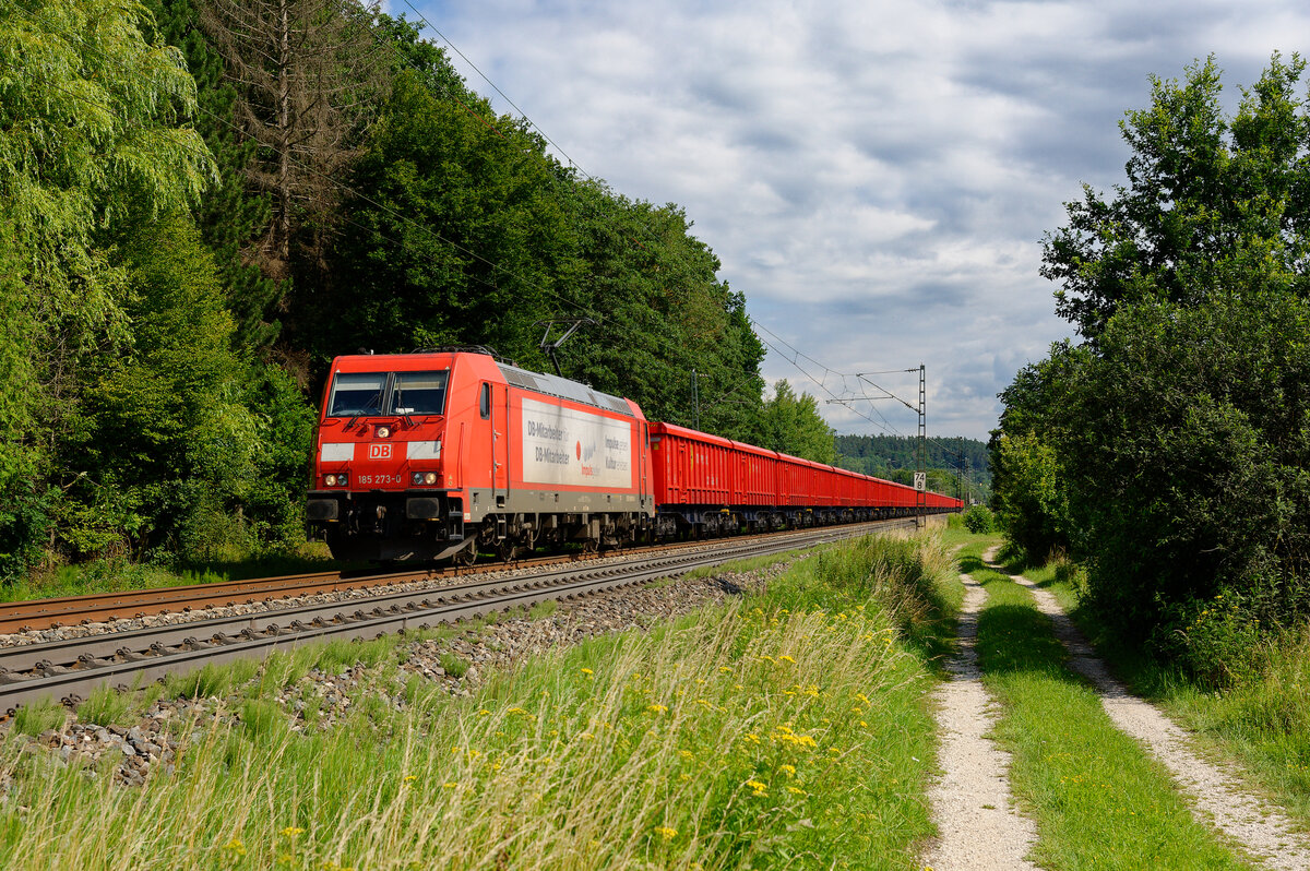185 273 DB Cargo  Impulsgeber  mit einem Innofreight E-Wagenzug bei Postbauer-Heng Richtung Nürnberg, 18.07.2020
