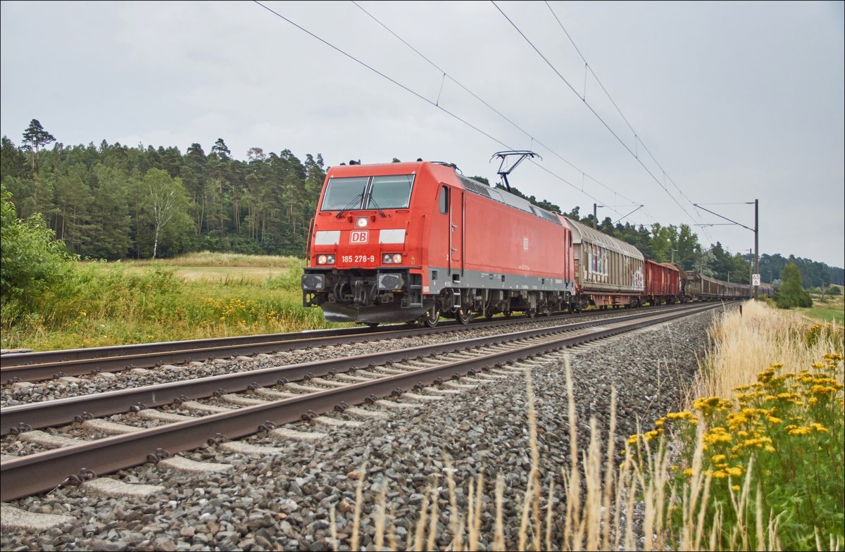 185 278-2 ist mit einen gemischten Güterzug am 11.07.2018 bei Dörfle zu sehen.