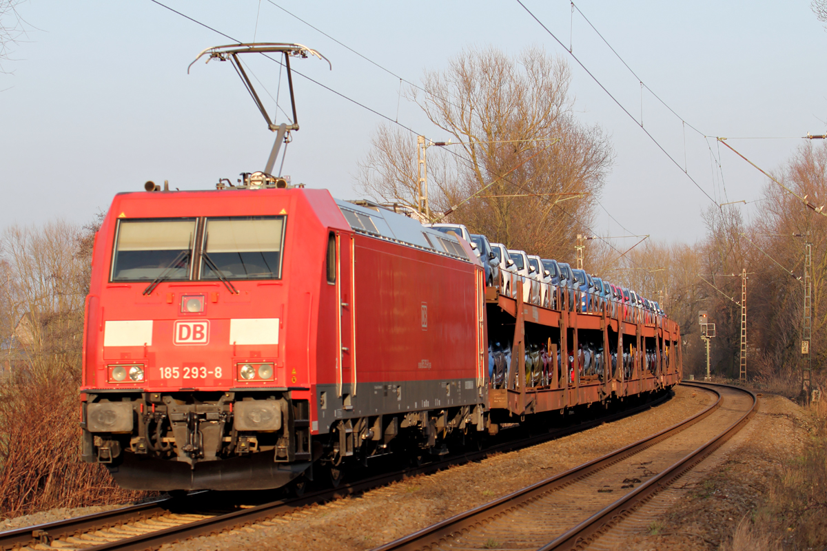 185 293-8 auf der Hamm-Osterfelder Strecke am BÜ 37,285 KM 19.2.2015
