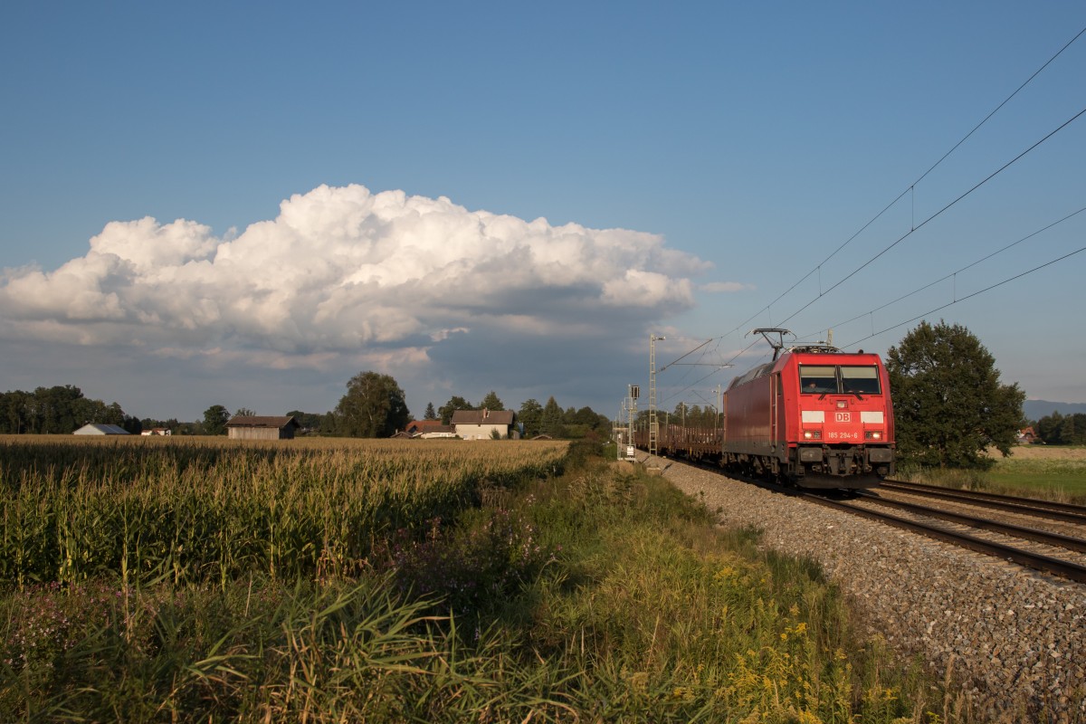 185 294 mit einem Güterzug am 9. September 2015 bei Übersee.