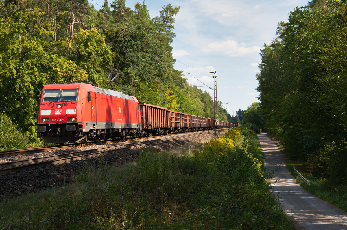 185 308 mit einem Eaos-Zug bei Mimberg Richtung Nürnberg, 17.08.2018