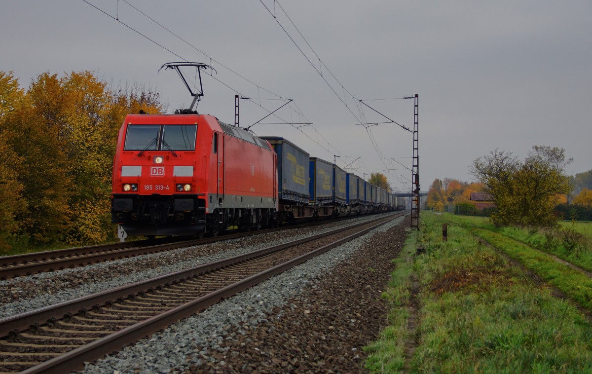 185 313-4 ist mit einen Aufliegerzug bei Thüngersheim am 27.10.15 unterwegs.