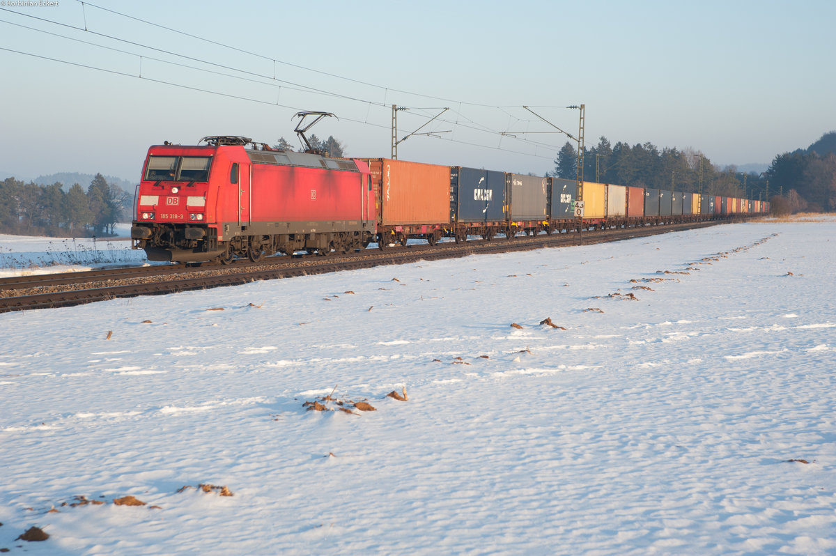 185 318 mit einem Containerzug bei Seubersdorf Richtung Nürnberg, 21.01.2017