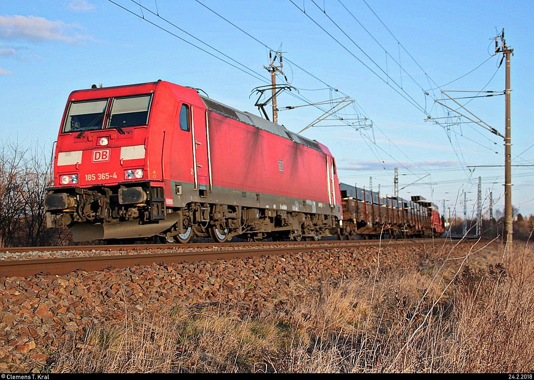 185 365-4 DB als gemischter Gz fährt am Roßgraben in Angersdorf auf der Bahnstrecke Halle–Hann. Münden (KBS 590) Richtung Sangerhausen. [24.2.2018 | 16:46 Uhr]