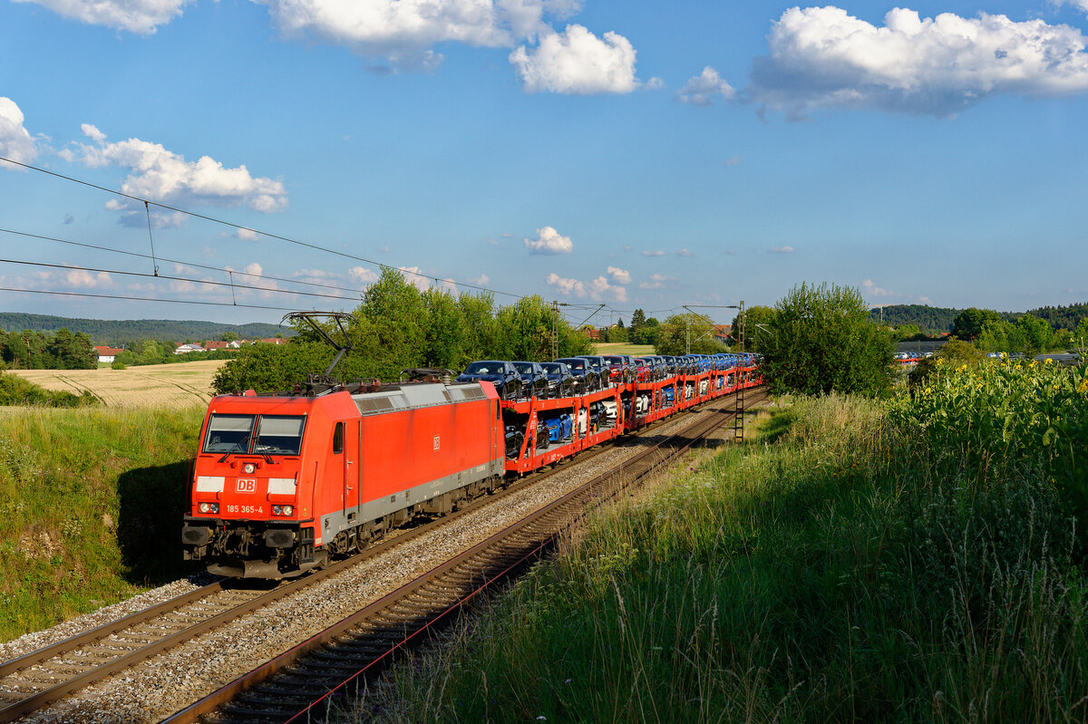 185 365 DB Cargo mit GA 60016 (Dingolfing - Maschen Rbf) bei Parsberg, 20.07.2020
