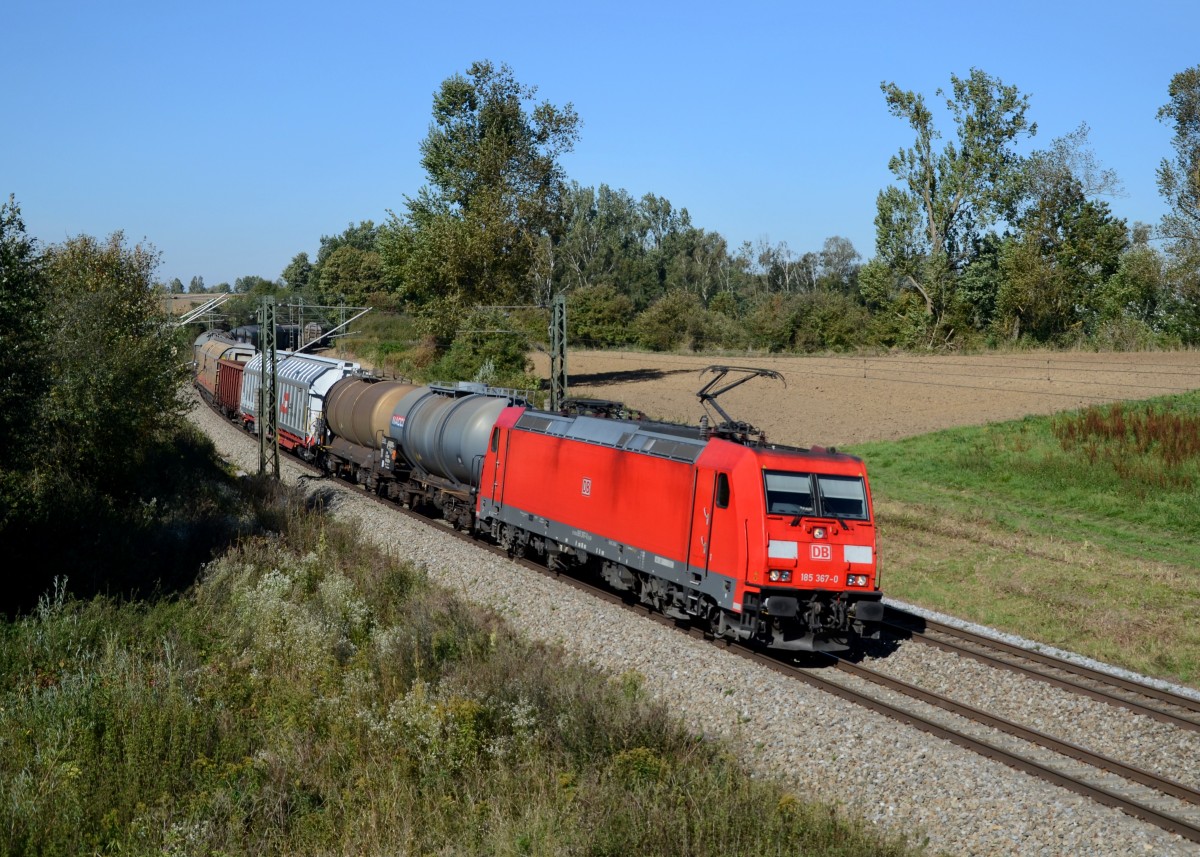 185 367 mit einem Gterzug am 03.10.2013 bei Langenisarhofen.