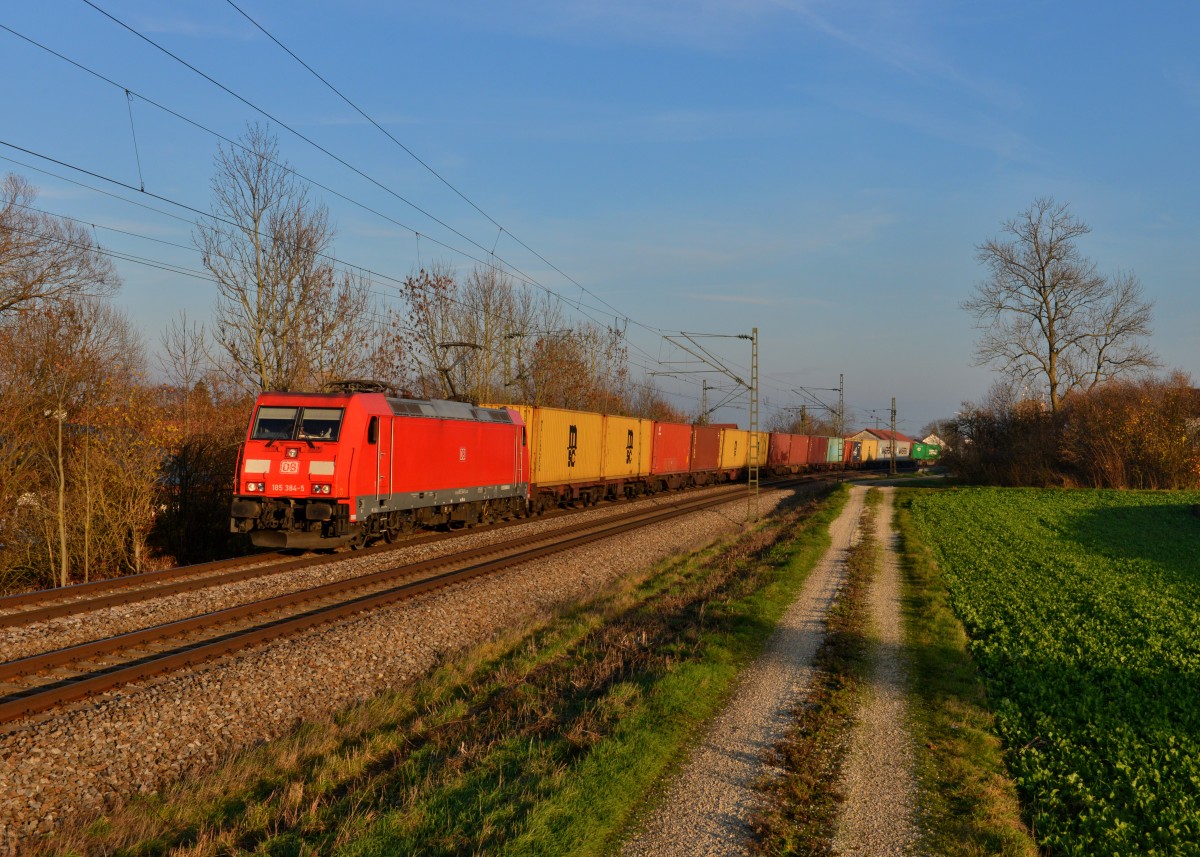 185 384 mit einem Containerzug am 12.11.2015 bei Langenisarhofen. 