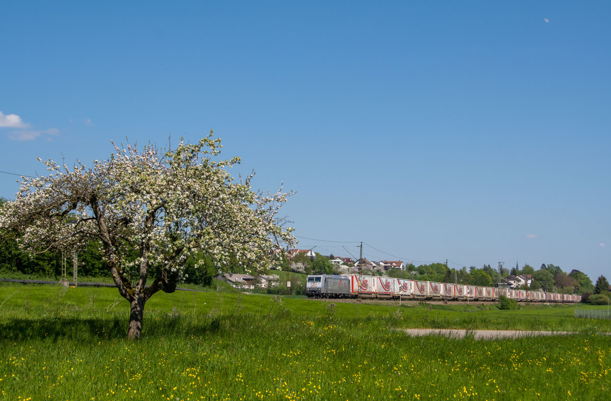 185 538 TXL mit Mars-KLV Richtung Kornwestheim bei Ebersbach.(8.5.2016)