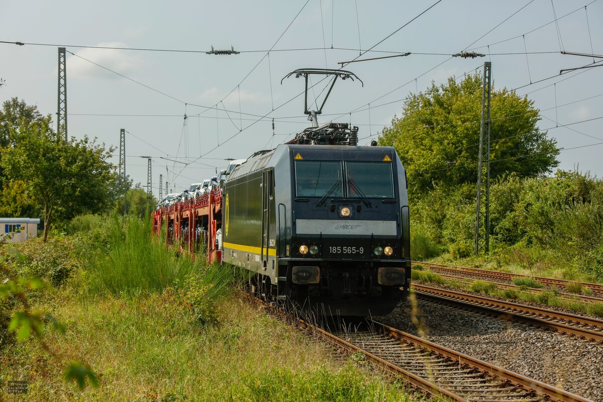 185 565-9 BEACON/EX-MRCE mit Autotransportzug in Ostbevern, August 2024.