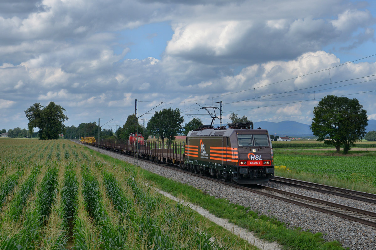 185 600 mit einem Güterzug am 01.08.2016 bei Langenisarhofen. 