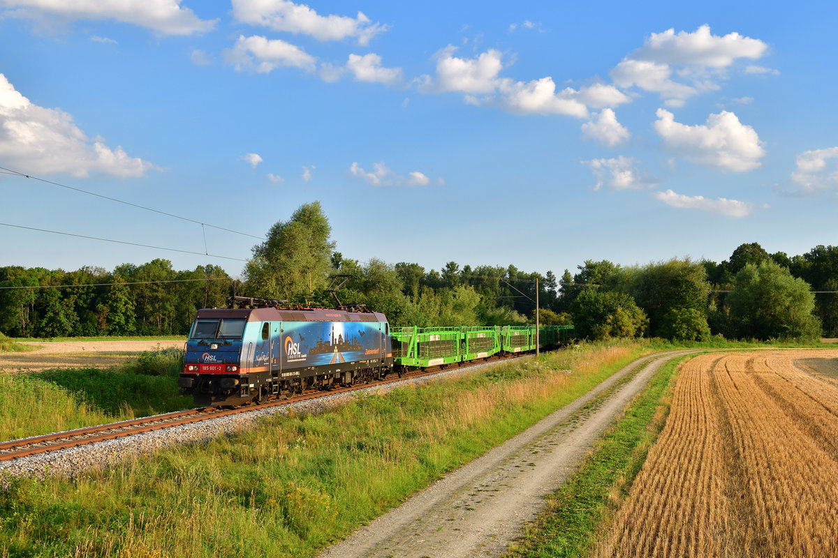 185 601 mit einem leeren Autozug am 20.07.2020 bei Wallersdorf.