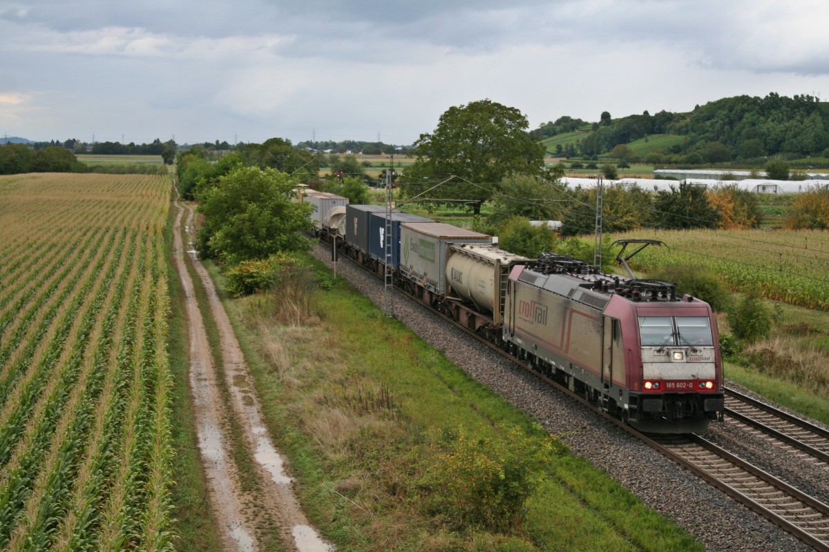 185 602-0 mit einem KLV-Zug in die Schweiz am Nachmittag des 12.09.13 nrdlich von Hgelheim.