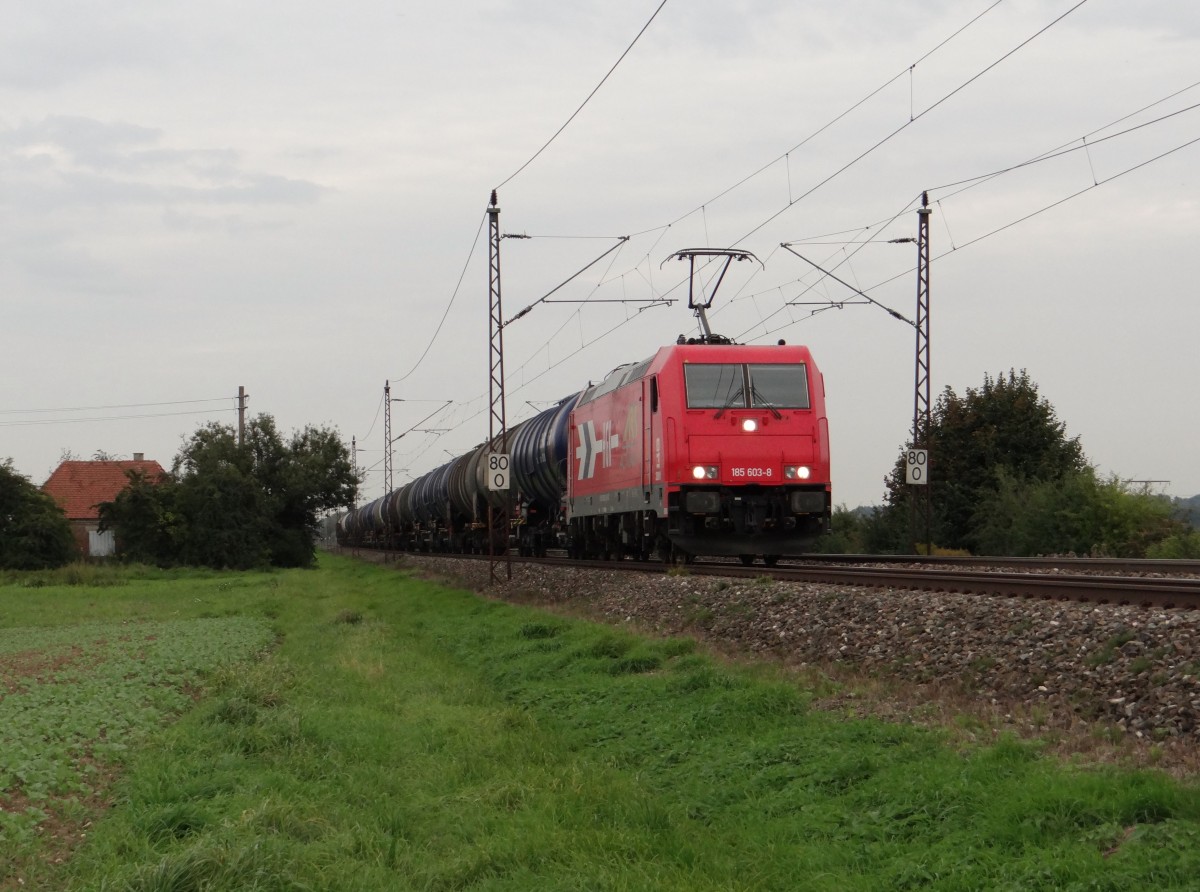 185 603-8 zu sehen am 24.09.14 in Neu-Ulm.