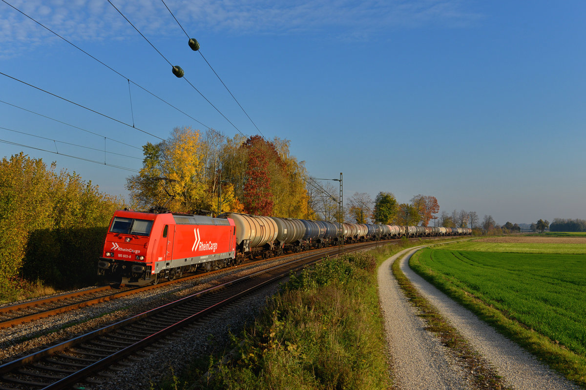 185 603 mit einem Kesselzug am 20.10.2017 bei Langenisarhofen. 