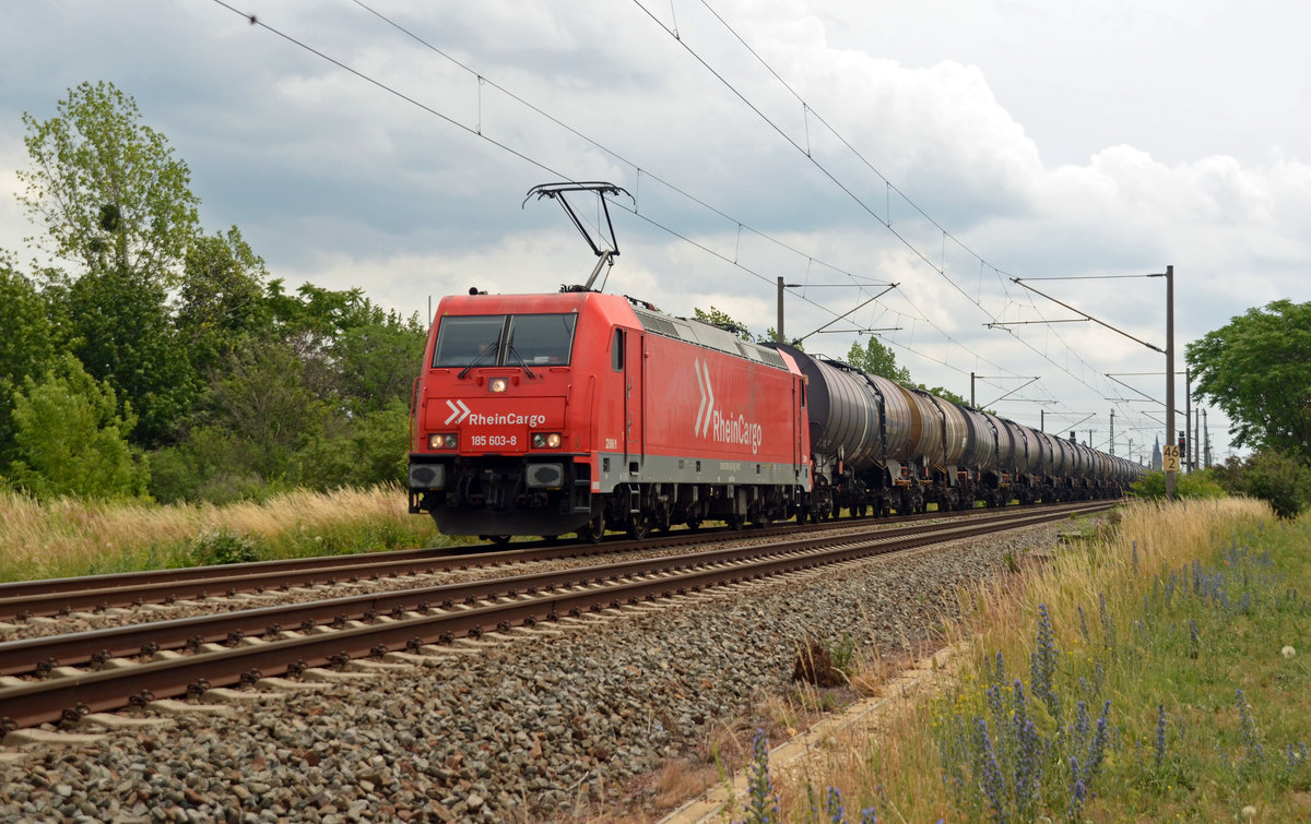 185 603 der Rheincargo schleppte am 20.06.19 einen Kesselwagenzug durch Greppin Richtung Dessau.