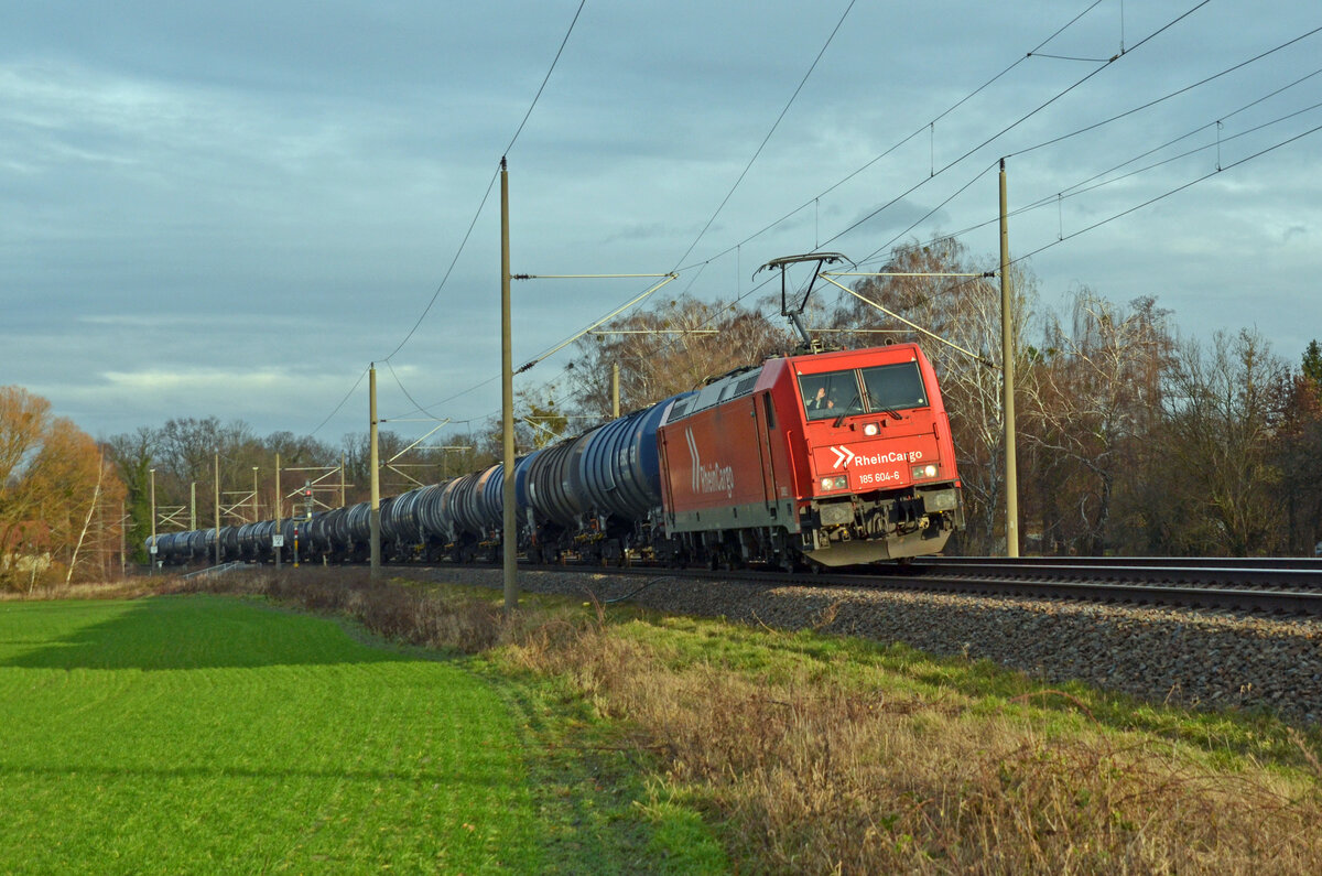 185 604 der Rheincargo schleppte am Neujahrstag 2024 einen Kesselwagenzug durch Burgkemnitz Richtung Bitterfeld.