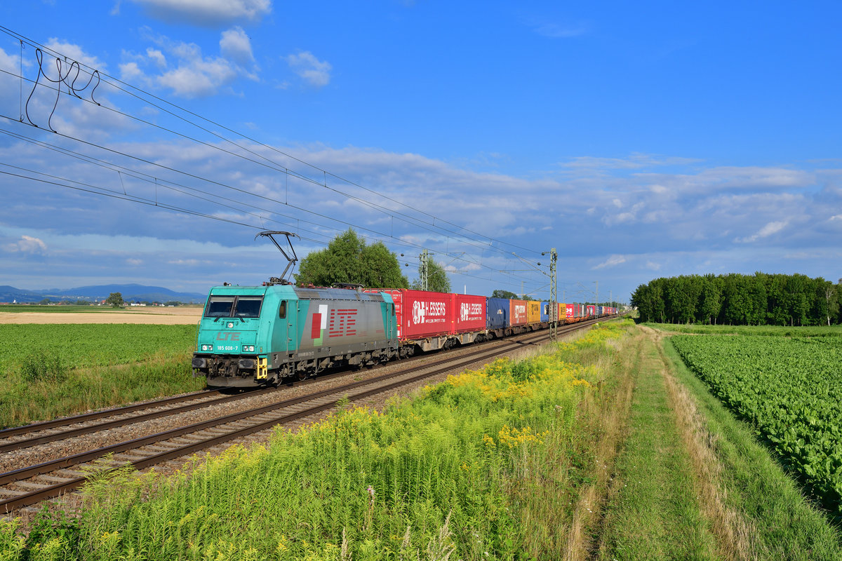 185 608 mit DGS 40666 am 05.08.2020 bei Stephansposching.