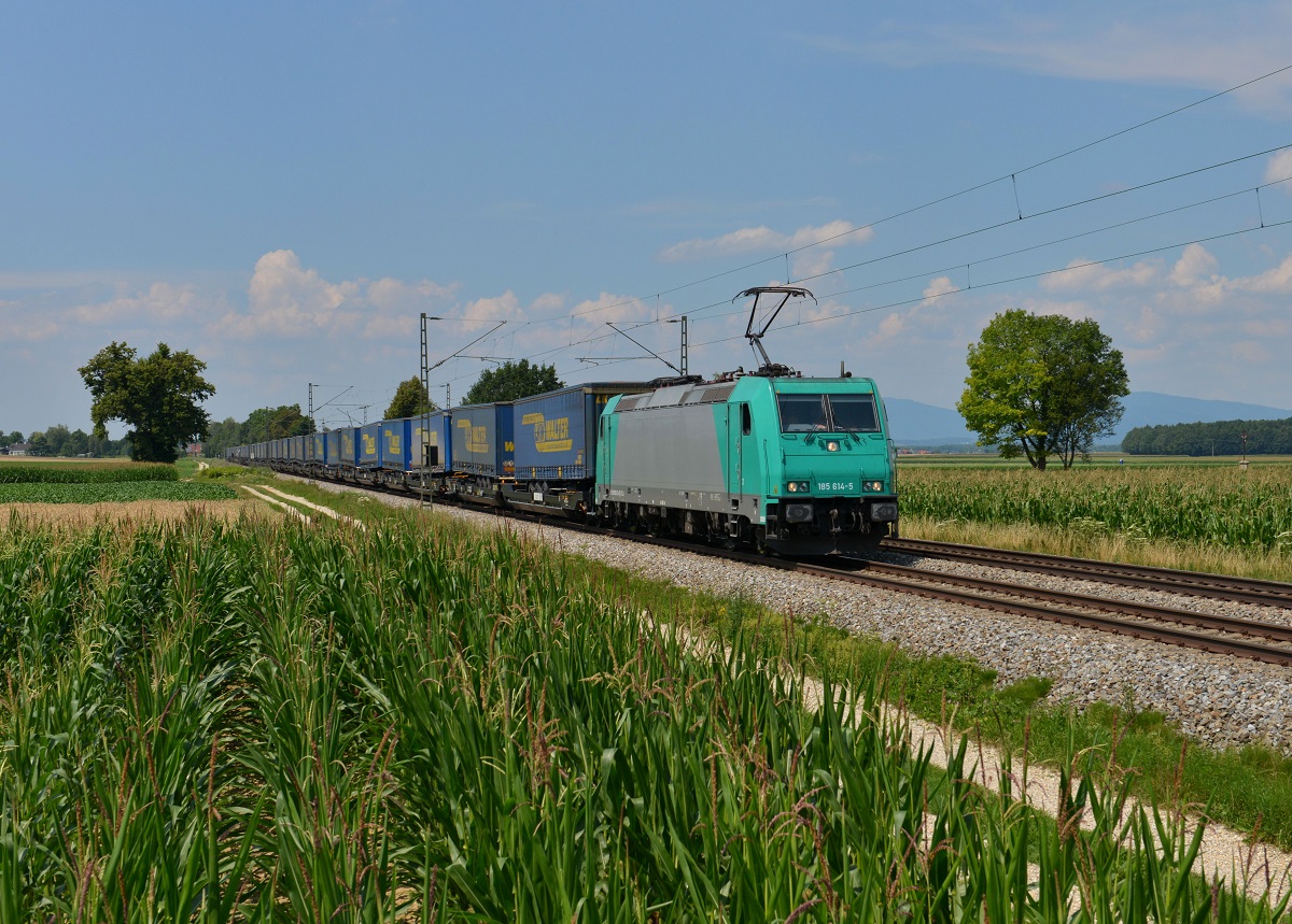 185 614 mit dem Walter-KLV am 17.07.2014 bei Langenisarhofen.