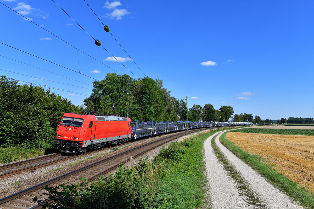 185 631 mit einem Autozug am 01.07.2018 bei Langenisarhofen. 