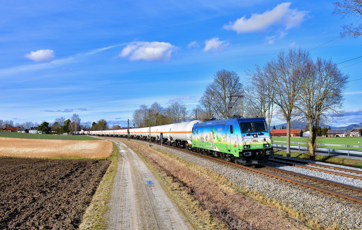 185 642 mit DGS 42597 am 04.02.2021 bei Langenisarhofen.