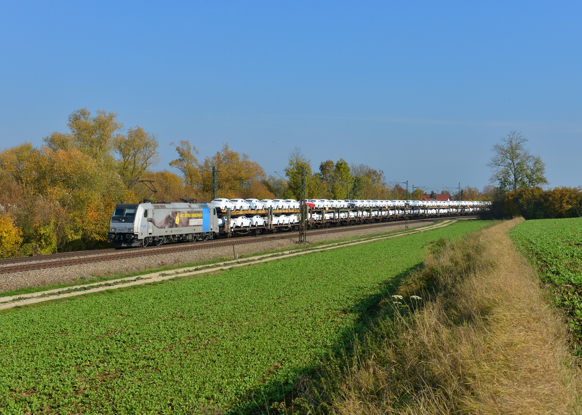 185 672 mit DGS 47160 am 27.10.2015 bei Langenisarhofen. 