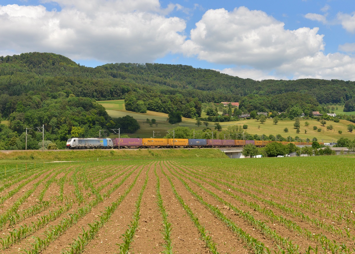 186 101 mit einem Containerzug am 15.06.2014 bei Sissach.