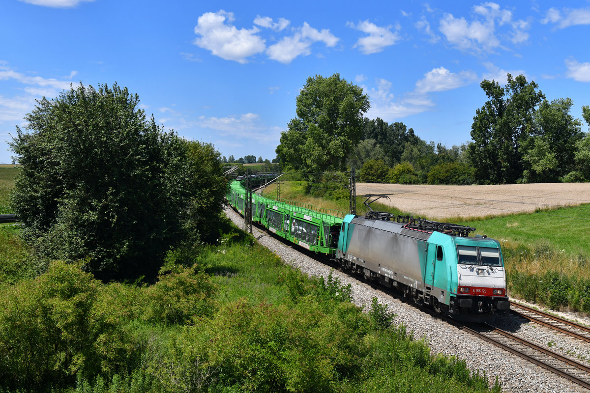 186 123 mit einem Autozug am 08.07.2018 bei Langenisarhofen. 