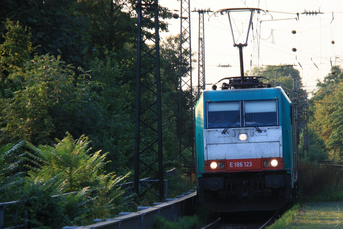 186 123 von Railtraxx kommt mit einem langen KLV-Containerzug aus Genk-Goederen(B) nach Frankfurt-Höchstadt aus Richtung Köln und fährt in Richtung Koblenz. 
Aufegenommen auf der Rechten Rheinstrecke (KBS 465) in (Rhöndorf am Rhein) am einem tollenm Sommerabend am 28.8.2013. 